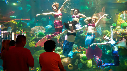 Điểm du h&agrave;nh th&uacute; vị c&ugrave;ng "n&agrave;ng ti&ecirc;n c&aacute;"